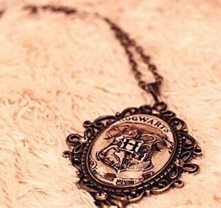 Медальйон Harry Potter Hogwarts -   -  