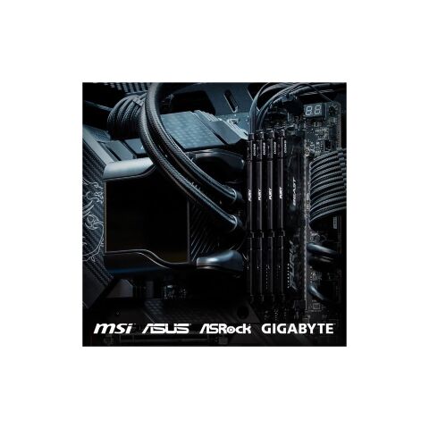 Модуль памяти для компьютера DDR5 8GB 6000 MHz Beast AM5 Black Fury (KF560C36BBE-8) - Модули памяти для компьютера  - Модули памяти для компьютера 
