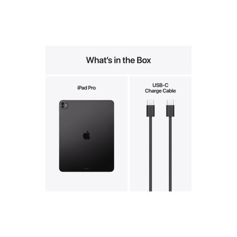 Планшет Apple iPad Pro 13" M5 Wi‑Fi + Cellular 256GB with standard glass - Space Black (ME7W4TY/A) - Нулевой остаток (Feed)  - Нулевой остаток (Feed) 