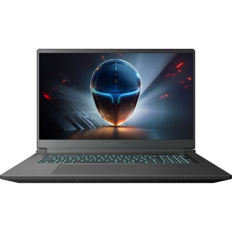 Ноутбук Thunderobot 911 X17 (911X17-i7136H56C1Q165MB) - Ноутбуки - Ноутбуки