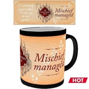 Чашка хамелеон Harry Potter - I Solemnly Swear Mug Гарри Поттер Кружка 320 мл