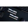 Модуль памяти для компьютера DDR5 32GB (2x16GB) 7600 MHz Trident Z5 RGB Silver G.Skill (F5-7600J3646G16GX2-TZ5RS)