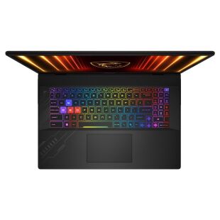 Ноутбук MSI Crosshair A17 HX (D8WGKG-049XUA)