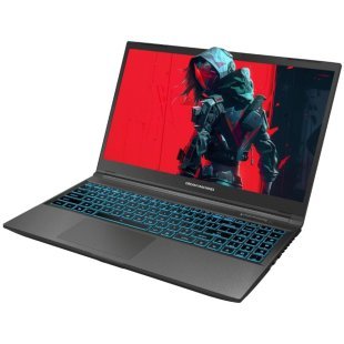 Ноутбук Dream Machines RG3050-15 (RG3050-15UA60)