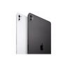 Планшет Apple iPad Pro 11" M5 Wi‑Fi + Cellular 512GB with standard glass - Space Black (ME2Q4TY/A)