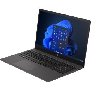 Ноутбук HP 255 G10 (8A5G1EA)