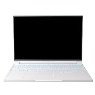 Ноутбук Thunderobot RS16 (RS16-I9139HX56E1Q240ARC)