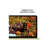 Ноутбук Apple MacBook Neo A3404 (MHFE4UA/A)