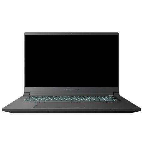 Ноутбук Thunderobot 911 X17 (911X17-i7136H56C1Q165MBD) - Нулевой остаток (Feed) - Нулевой остаток (Feed)
