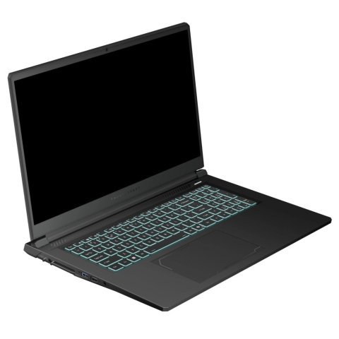 Ноутбук Thunderobot 911 X17 (911X17-i7136H56C1Q165MBD) - Нулевой остаток (Feed) - Нулевой остаток (Feed)