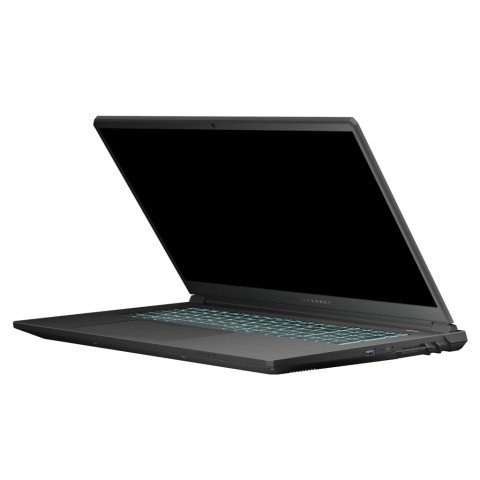 Ноутбук Thunderobot 911 X17 (911X17-i7136H56C1Q165MBD) - Нулевой остаток (Feed) - Нулевой остаток (Feed)