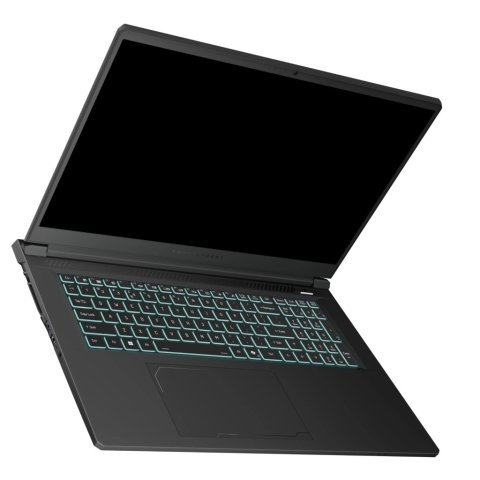 Ноутбук Thunderobot 911 X17 (911X17-i7136H56C1Q165MBD) - Нулевой остаток (Feed) - Нулевой остаток (Feed)