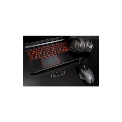 Накопитель SSD M.2 2280 1TB Micron (CT1000P3PSSD8) - Нулевой остаток (Feed) - Нулевой остаток (Feed)