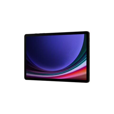 Планшет Samsung Galaxy Tab S9 5G 12GB/256GB Graphite (SM-X716BZAESEK) - Нулевой остаток (Feed) - Нулевой остаток (Feed)