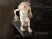 Фігурка Noble Collection Harry Potter Dobby Doorstopper Добби -   -  