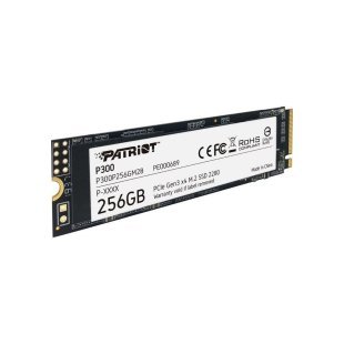 Накопитель SSD M.2 2280 256GB Patriot (P300P256GM28)